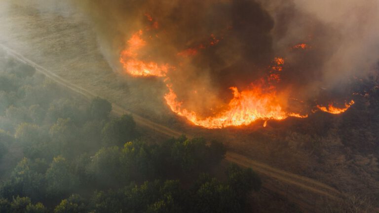 Ακραίες θερμοκρασίες, ξηρασία και πυρκαγιές στην Ευρώπη το 2026