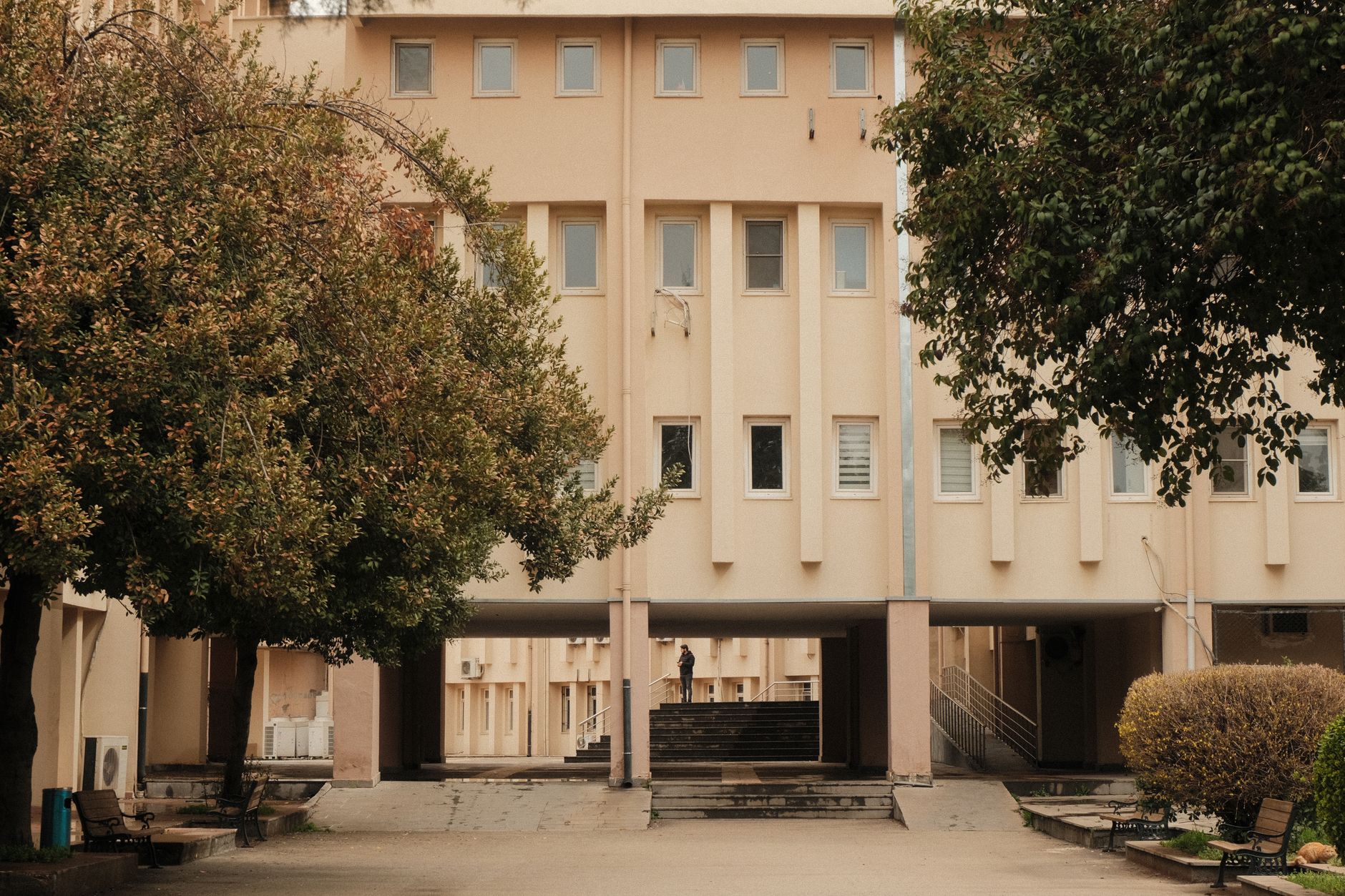 Τραγωδία στη Λάρισα: 60χρονη γυναίκα βρέθηκε νεκρή σε υπόγειο – Εξετάζεται η αιτία θανάτου μετά από ενάμιση χρόνο