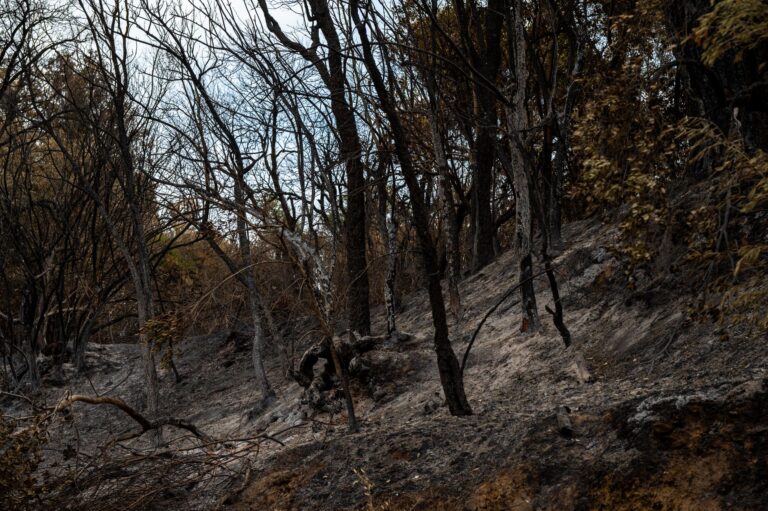 Ολοκληρώθηκαν οι πληρωμές ύψους 509.643 ευρώ στις πυρόπληκτες επιχειρήσεις της Χίου για τις πυρκαγιές του 2025