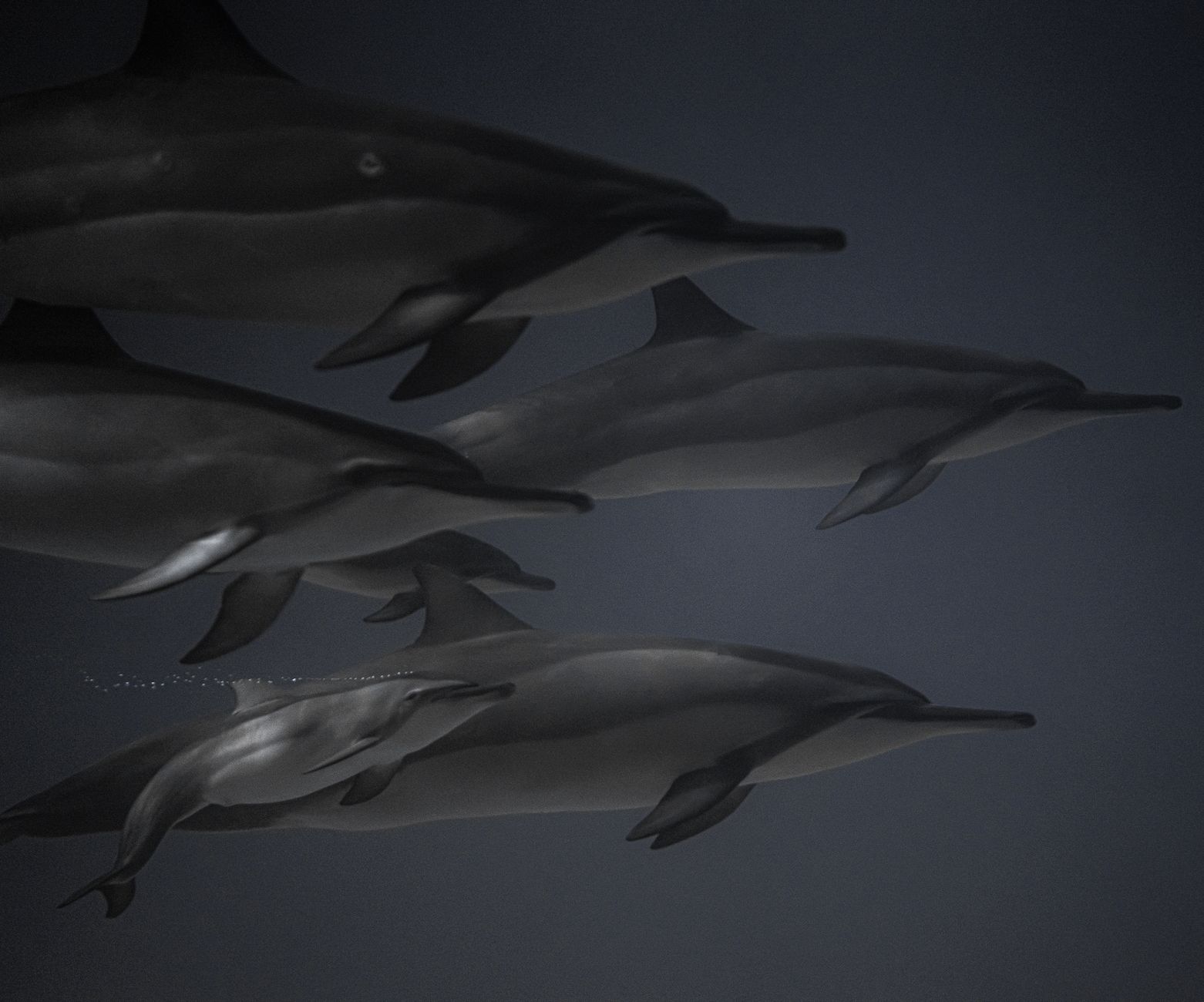 Τυφώνας Dolphin: Πάνω από ένα εκατομμύριο εκκενώσεις στην ανατολική Κίνα λόγω πλημμυρών – Ταυτόχρονα, αλλαγή ιδιοκτησίας στην Argos στο Ηνωμένο Βασίλειο