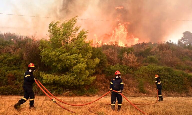 Τέσσερις συλλήψεις για πυρκαγιές σε Πάρο, Τρίκαλα, Ρόδο και Χαλκιδική