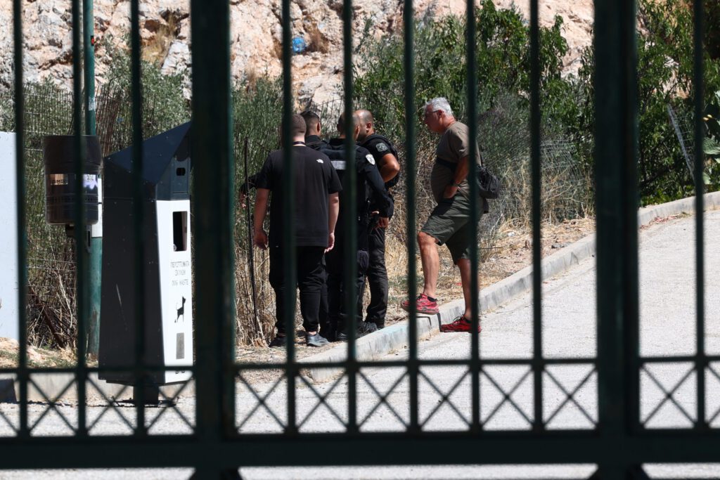 Κυψέλη: Δεύτερη σακούλα με οστά τυλιγμένα σε προβιά