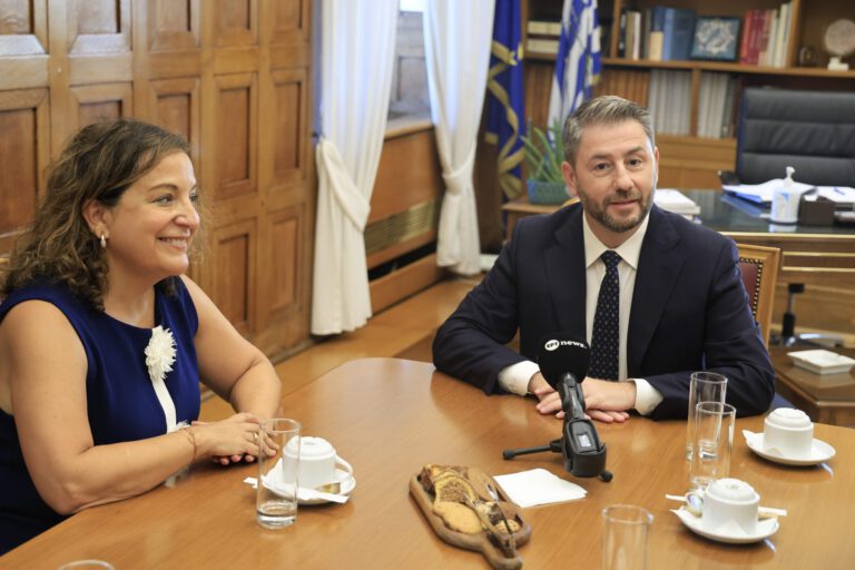 Ανδρουλάκης με Γκαρσία Πέρεθ: αλληλεγγύη κατά της Ακροδεξιάς