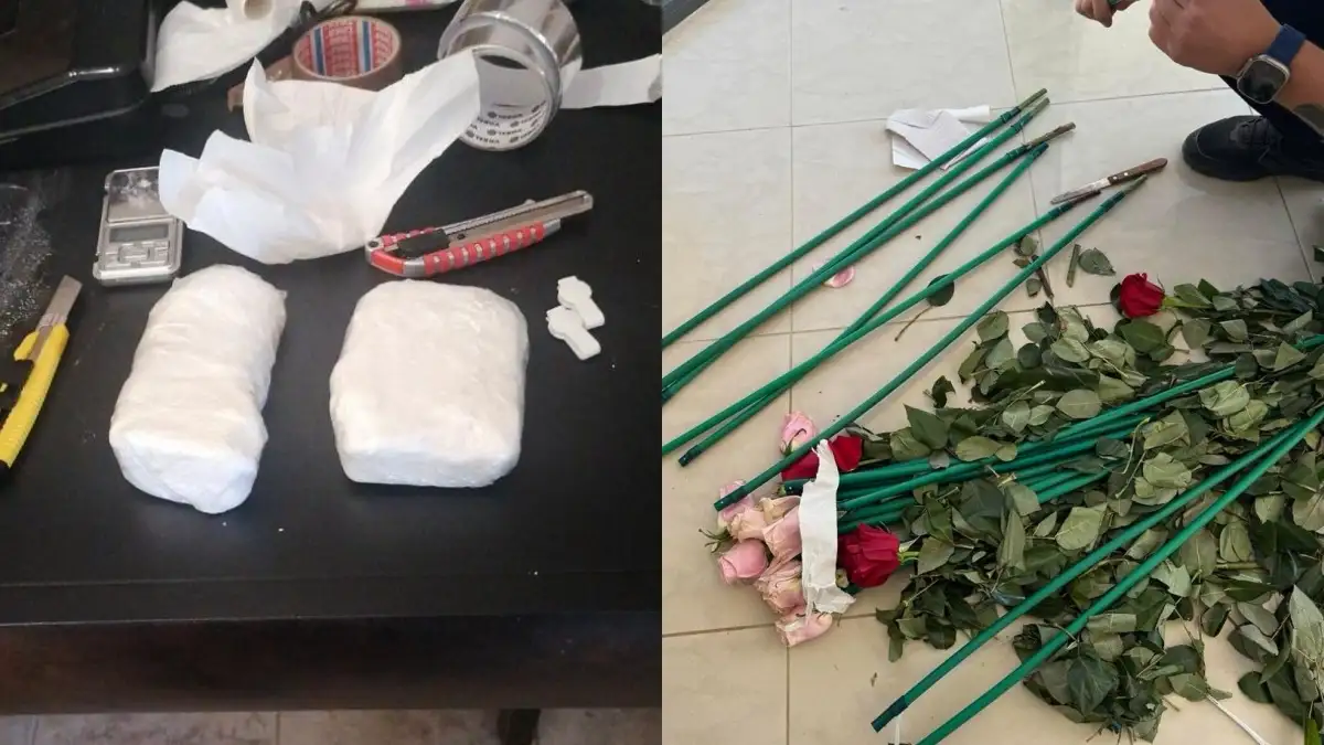Η ΑΑΔΕ εντόπισε κύκλωμα με 84 κιλά κοκαΐνης κρυμμένης σε τριαντάφυλλα