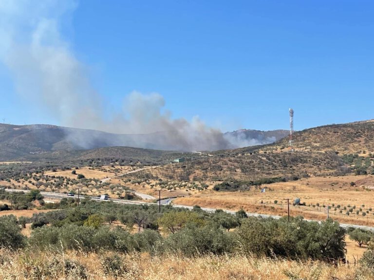 Τρεις πυρκαγιές σε την Καλαμπάκα, την Αλεξανδρούπολη και την Κόνιτσα σε εξέλιξη