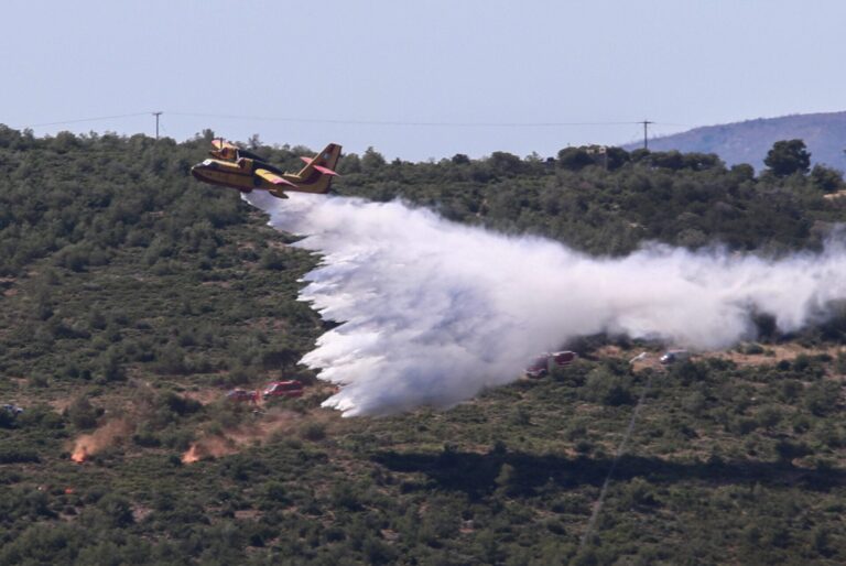 Φωτιά σε χαμηλή βλάστηση στον Παλαμά Καρδίτσας — Επιχειρούν 4 αεροσκάφη