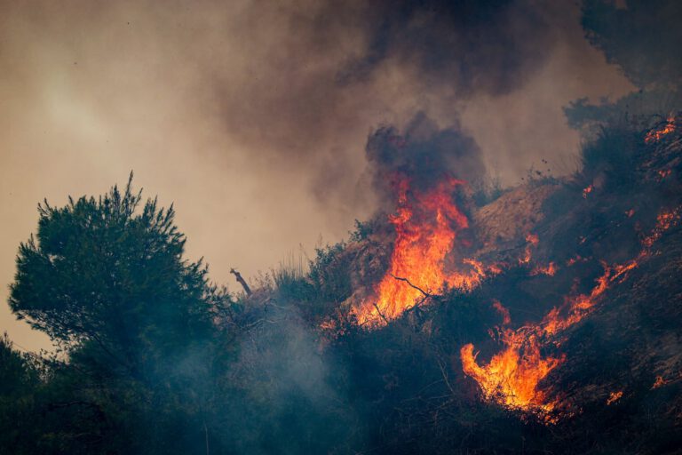 Μεγάλη μάχη της Πυροσβεστικής στην Κόνιτσα για φωτιά στη χαράδρα Στομίου
