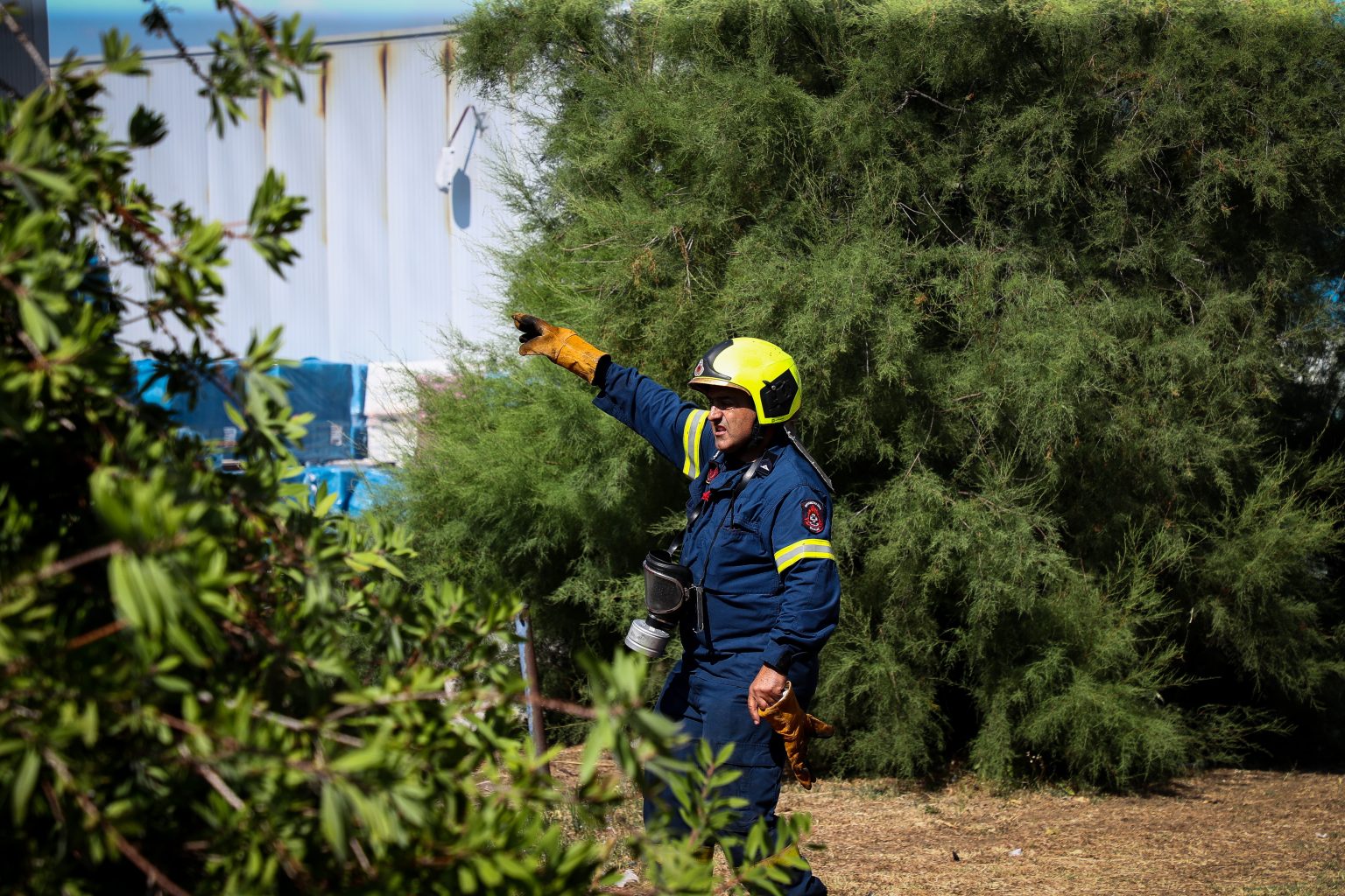 Χαλκιδική: Υπό έλεγχο η πυρκαγιά στην Καλλικράτεια