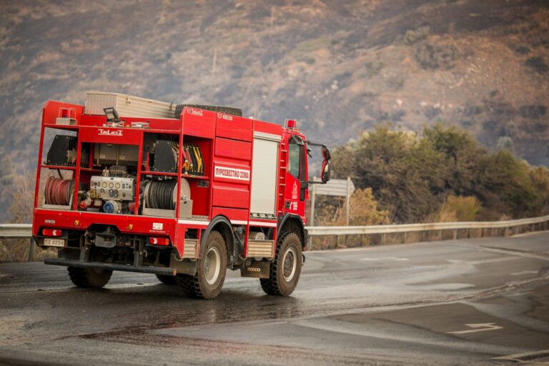 Πυρκαγιά σε δασική έκταση στην Πλαγιά Κιλκίς – 12 πυροσβέστες με 5 οχήματα