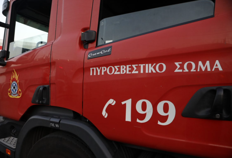Πυρκαγιά σε δασική έκταση στην Πλαγιά Κιλκίς – 12 πυροσβέστες με 5 οχήματα