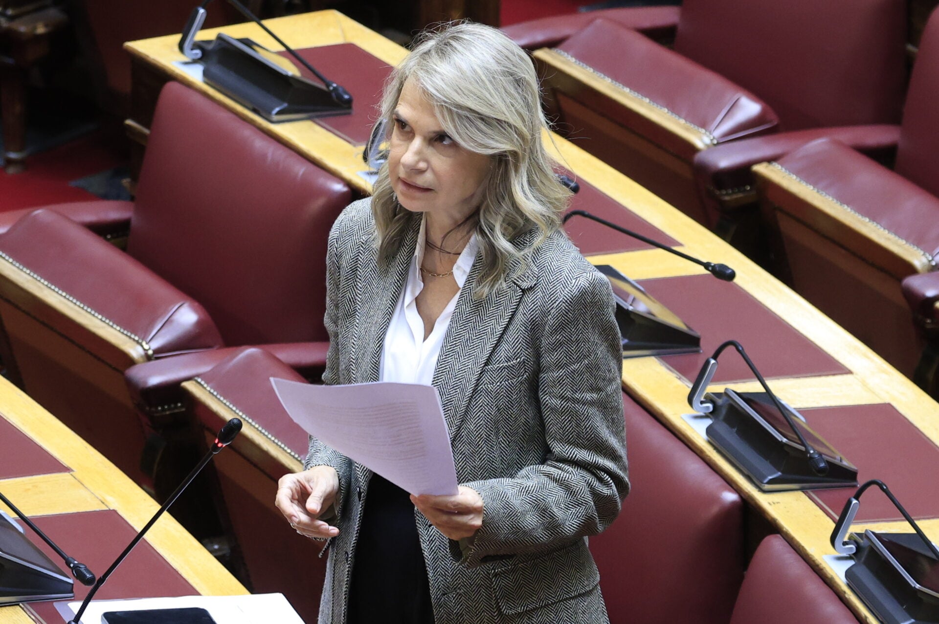 Αποστολάκη: «Η κυβέρνηση ευθύνεται αποκλειστικά» για τραπεζικό αποκλεισμό