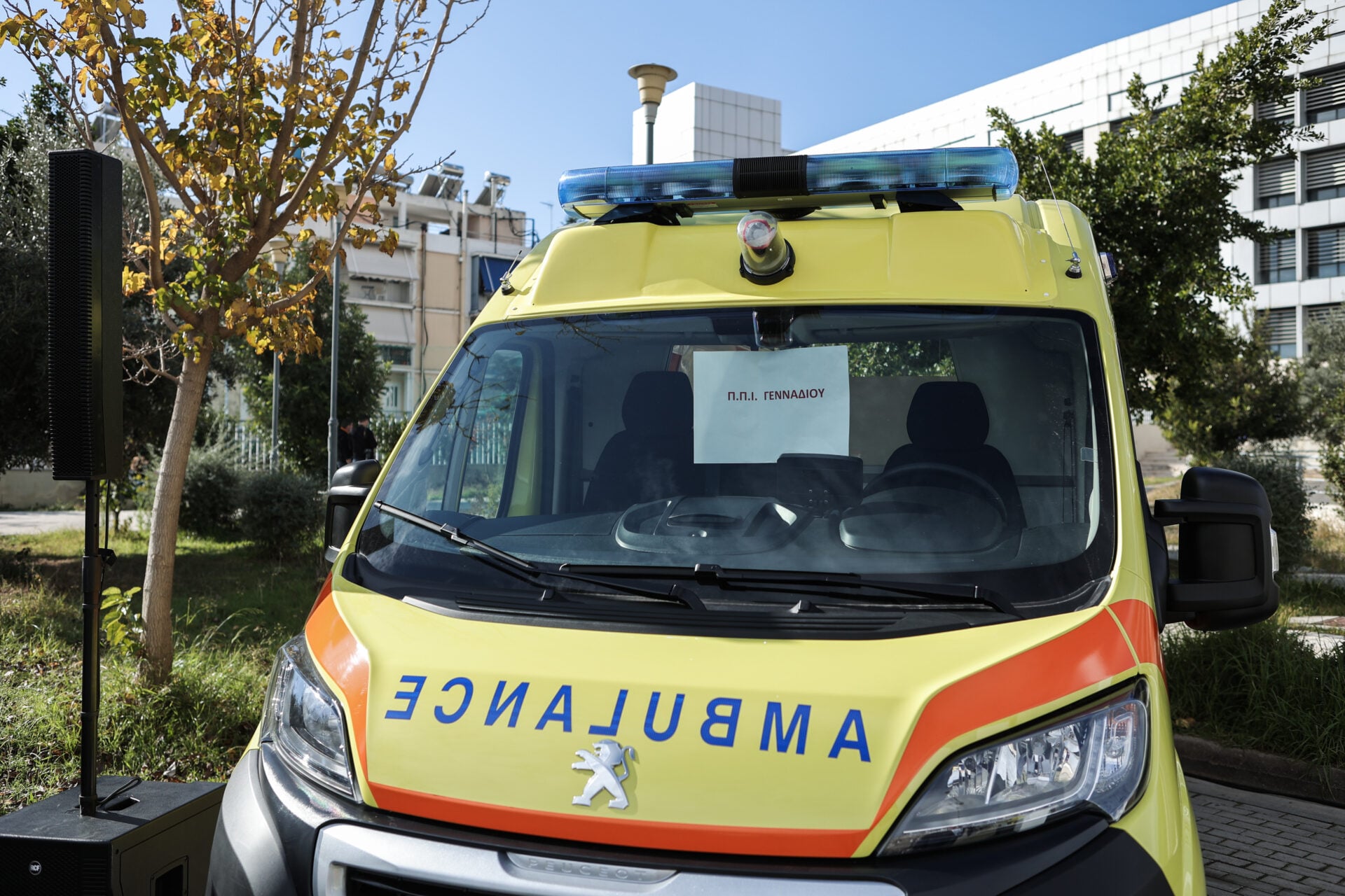 Χαλκιδική: Νεκρός 65χρονος από πτώση δέντρου στη Σκάλα Φούρκας