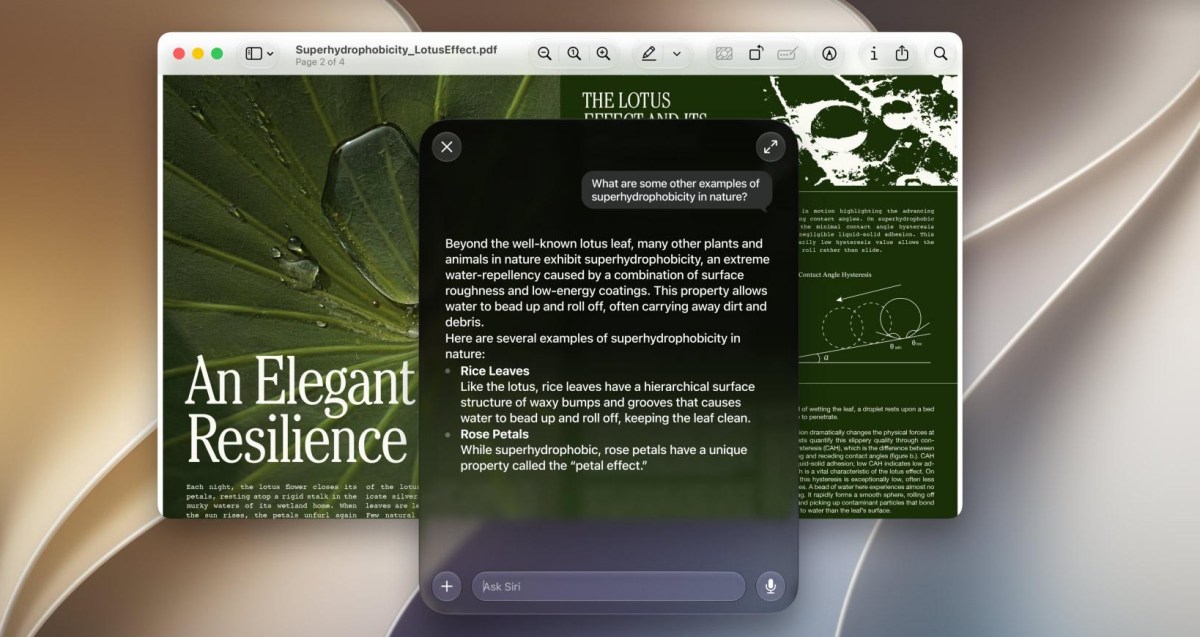 Νέο εργαλείο σβήνει το Apple Intelligence και ελευθερώνει έως 12GB