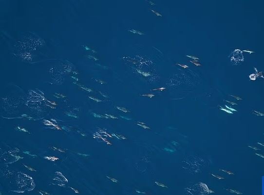1ο Sea Science Forum από το Ίδρυμα Λασκαρίδη στην Αθήνα